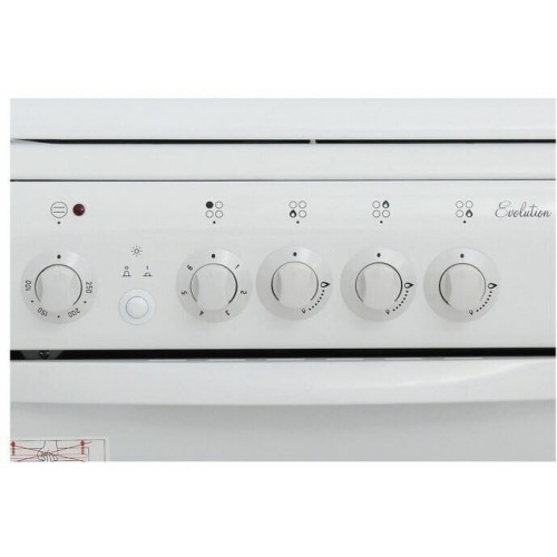 Комбинированная плита De Luxe 506031.01гэ (белый) 3