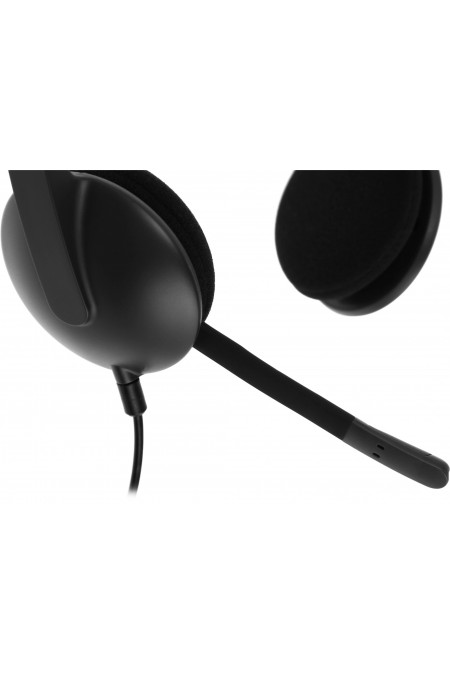 Компьютерная гарнитура Logitech H340 (981-000509) (черный) 1