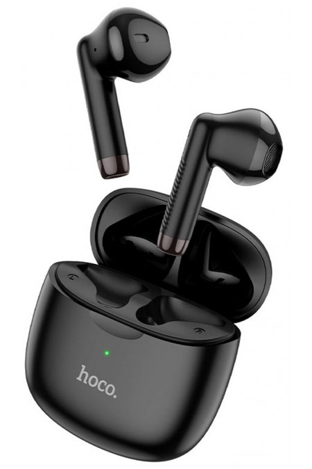 Беспроводные наушники Hoco ES56 (черный) 1