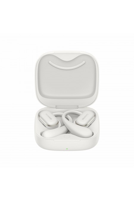 Беспроводные наушники HUAWEI FreeArc (T0021) (серый) 