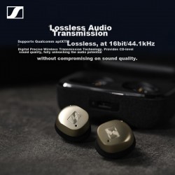 Беспроводные наушники Sennheiser Momentum True Wireless 4 (черный графит)
