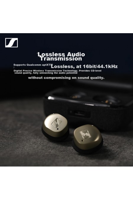 Беспроводные наушники Sennheiser Momentum True Wireless 4 (черный графит) 