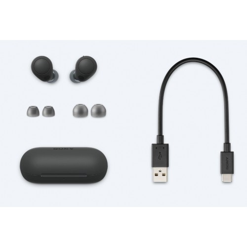 Беспроводные наушники Sony WF-C700N (черный) 1