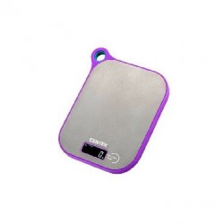 Кухонные весы CENTEK CT-2461 (серебристый)