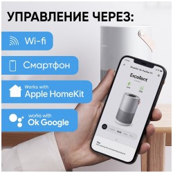 Очиститель воздуха Xiaomi Smartmi Air Purifier P1 (ZMKQJHQP11) (темно-серый)