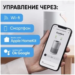 Очиститель воздуха Xiaomi Smartmi Air Purifier P1 (ZMKQJHQP11) (темно-серый)
