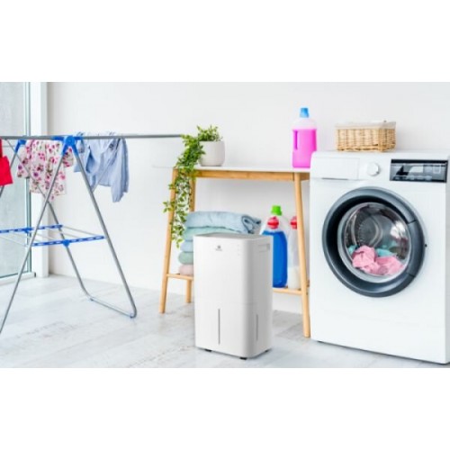 Осушитель воздуха Royal Clima Pacific Loft RD-PC25-E (белый) 1