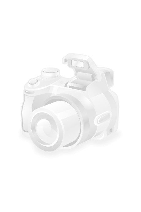 Накопительный электрический водонагреватель Thermex Ceramik 50 V (белый) 8