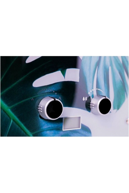 Проточный газовый водонагреватель Genberg 210.01 Декор (Тропический лист) (белый/рисунок) 2