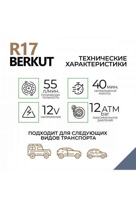 Автомобильный компрессор Berkut R17 (серый) 3