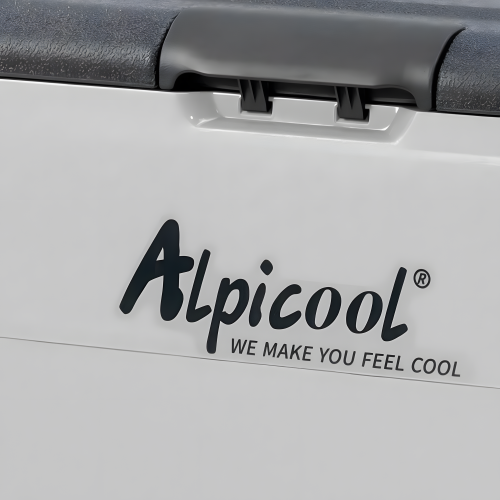 Автомобильный холодильник Alpicool ET60 (серый) 6