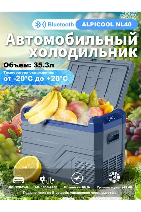 Автомобильный холодильник Alpicool NL40 (12/24) (серый) 