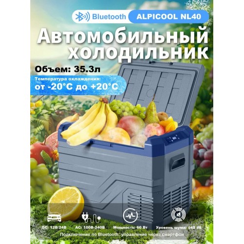 Автомобильный холодильник Alpicool NL40 (12/24) (серый) 