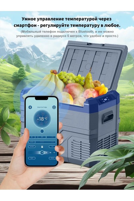 Автомобильный холодильник Alpicool NL40 (12/24) (серый) 4