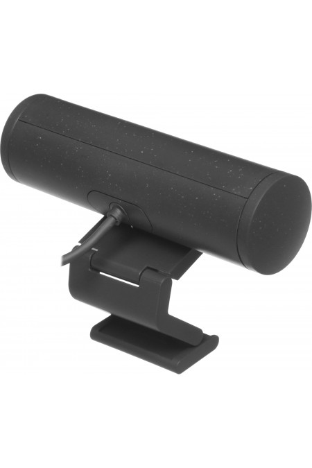 Веб-камера Logitech HD Webcam Brio 500 4Mpix (1920x1080) USB Type-C с микрофоном (960-001423) (черный) 3