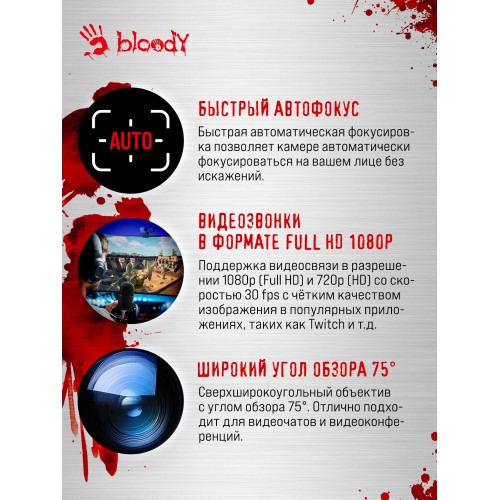 Веб-камера Bloody GK30 (черный) 3