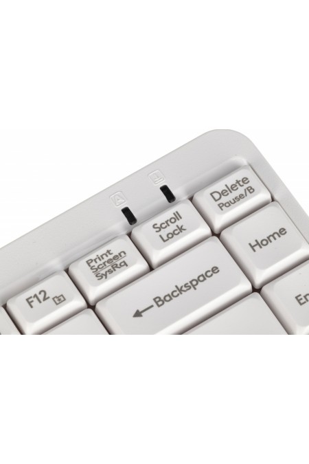 Клавиатура A4Tech FK11 USB slim (белый) 6