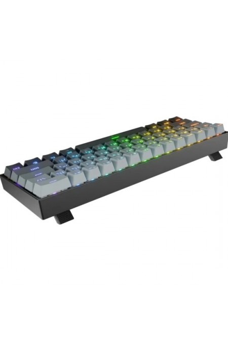 Клаиатура Redragon Fizz RT RU RGB RT (72300) (черный) 5