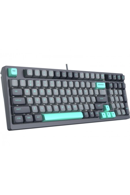 Клавиатура A4Tech Fstyler FS300 (PANDA ROCK) (черный/серый) 1