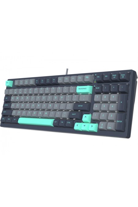 Клавиатура A4Tech Fstyler FS300 (PANDA ROCK) (черный/серый) 2