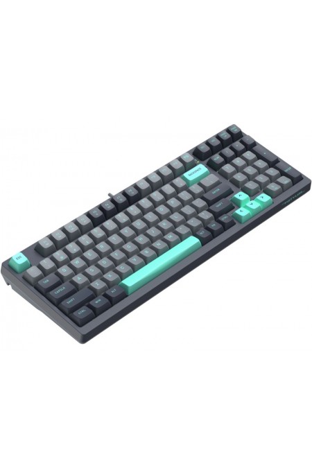Клавиатура A4Tech Fstyler FS300 (PANDA ROCK) (черный/серый) 3