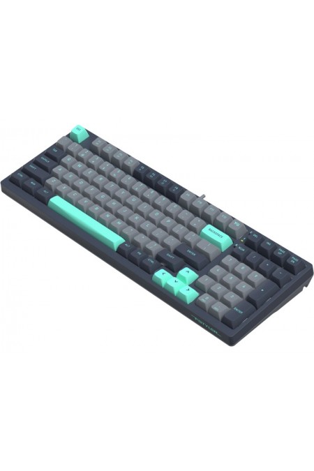 Клавиатура A4Tech Fstyler FS300 (PANDA ROCK) (черный/серый) 4
