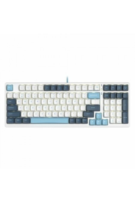 Клавиатура A4Tech Fstyler FS300 (PANDA SNOWBOARDING) (белый/синий) 