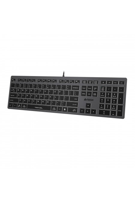Клавиатура A4Tech Fstyler FX60 (серый/белый) 2