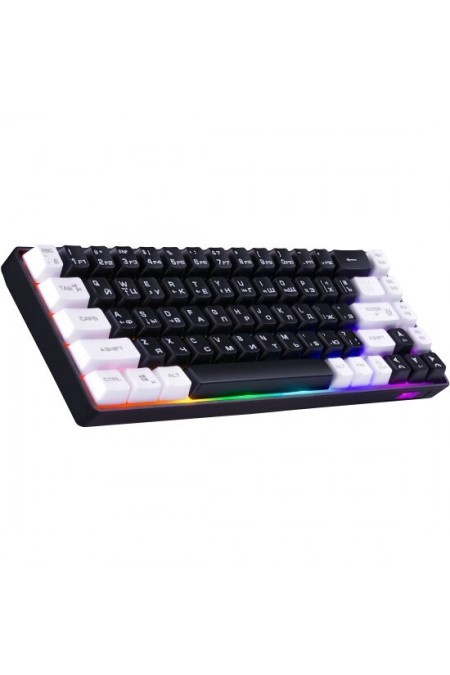 Клавиатура Defender Aris GK-349 RU (45344) (черный/белый) 1