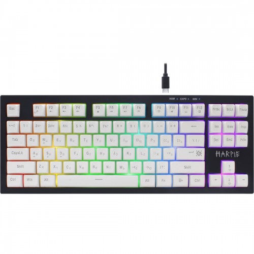Клавиатура Defender Harpie GK-401 (45401) (черный/белый) 1
