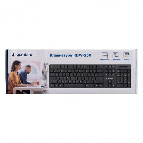 Клавиатура Gembird KBW-250 (черный) 3