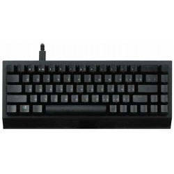 Клавиатура Razer BlackWidow V3 Mini HyperSpeed (Green Switch) (черный)