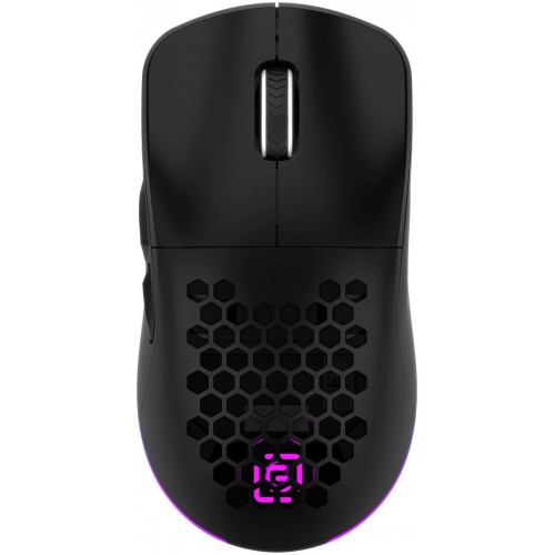 Беспроводная мышь Oklick 900GMW (черный) 