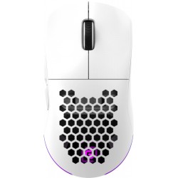 Беспроводная мышь Oklick 900GMW (белый)