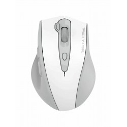 Беспроводная мышь A4Tech Fstyler FG55S Plus (серый/белый)