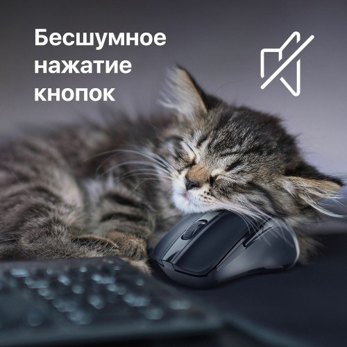 Беспроводная мышь Defender Prime MB-053 (черный) 