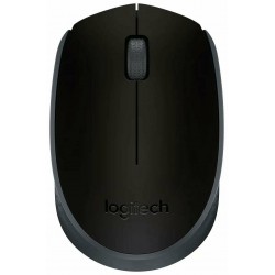 Беспроводная мышь Logitech M171 (910-004643) (черный)