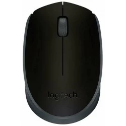 Беспроводная мышь Logitech M171 (910-004643) (черный)