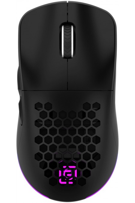 Беспроводная мышь Oklick 900GMW (черный) 1