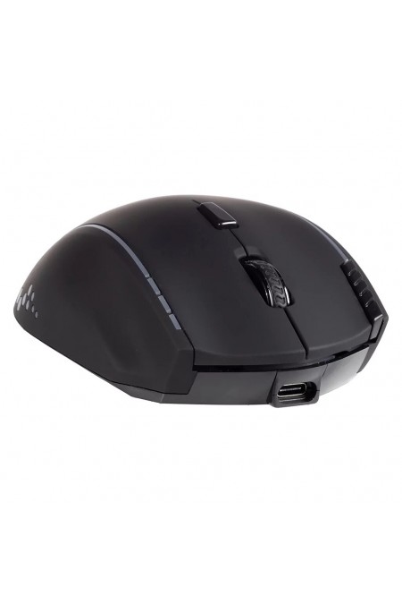 Мышь беспроводная SMARTBUY RUSH X23 (SBM753AGK) (черный) 