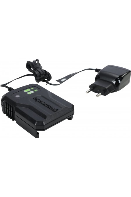 Пила цепная аккумуляторная Greenworks G24MCS10 (2008207UA) 3