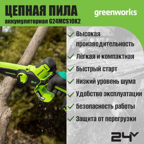 Пила цепная аккумуляторная Greenworks G24MCS10 (2008207UA) 1