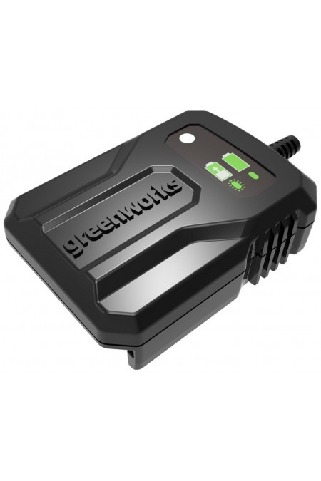 Пила цепная аккумуляторная Greenworks G40CS30IIK2 4