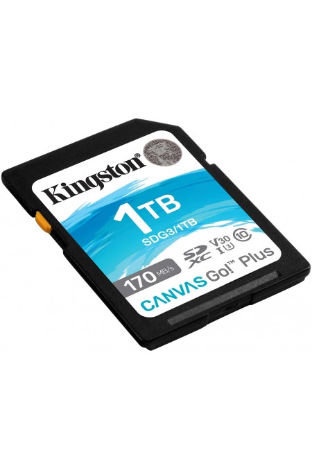Карта памяти Kingston Canvas Go! Plus 1 ТБ (SDG3/1TB) (черный) 