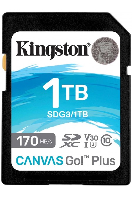 Карта памяти Kingston Canvas Go! Plus 1 ТБ (SDG3/1TB) (черный) 1