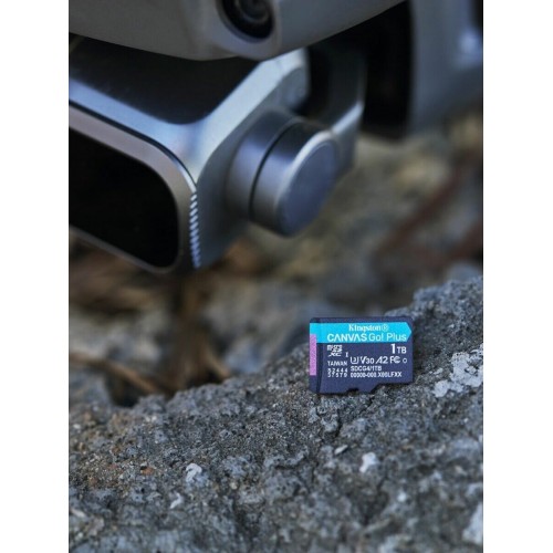 Карта памяти Kingston microSDXC Canvas Go! Plus SDCG4/256GB A2 256GB + SD adapter 2