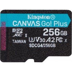 Карта памяти Kingston microSDXC Canvas Go! Plus SDCG4/256GBSP V10 A2 256GB