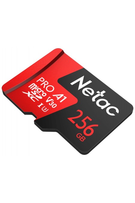 Карта памяти Netac P500 Extreme Pro 256GB (NT02P500PRO-256G-S) (черный/красный) 