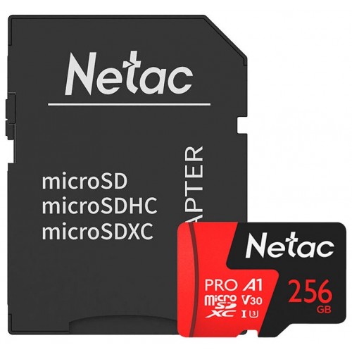 Карта памяти Netac P500 Extreme Pro 256GB (NT02P500PRO-256G-S) (черный/красный) 