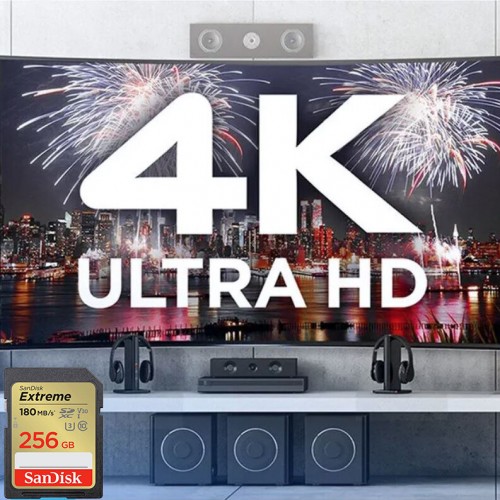 Карта памяти SanDisk Extreme (SDSDXVV-256G-GNCIN) 256GB (черный) 5